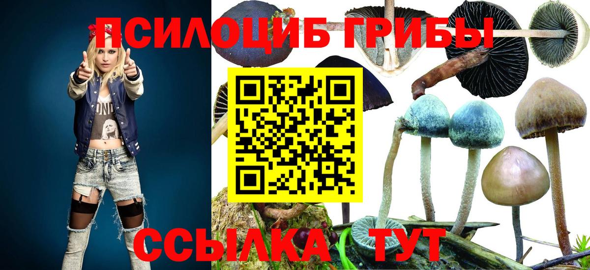 Псилоцибиновые грибы ЛСД  Вход с VPN  Псилоцибиновые грибы ЛСД  Элиста 