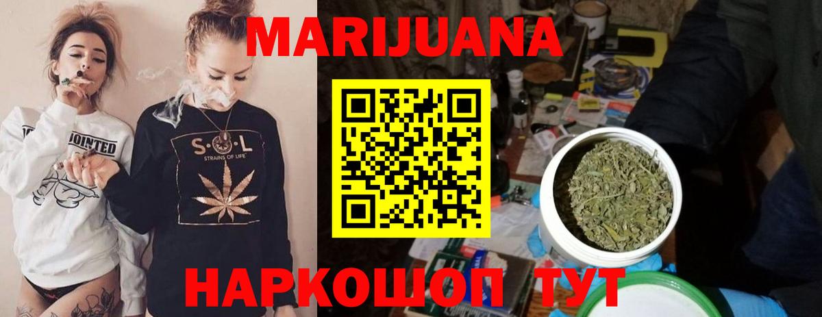 Канабис семена Элиста